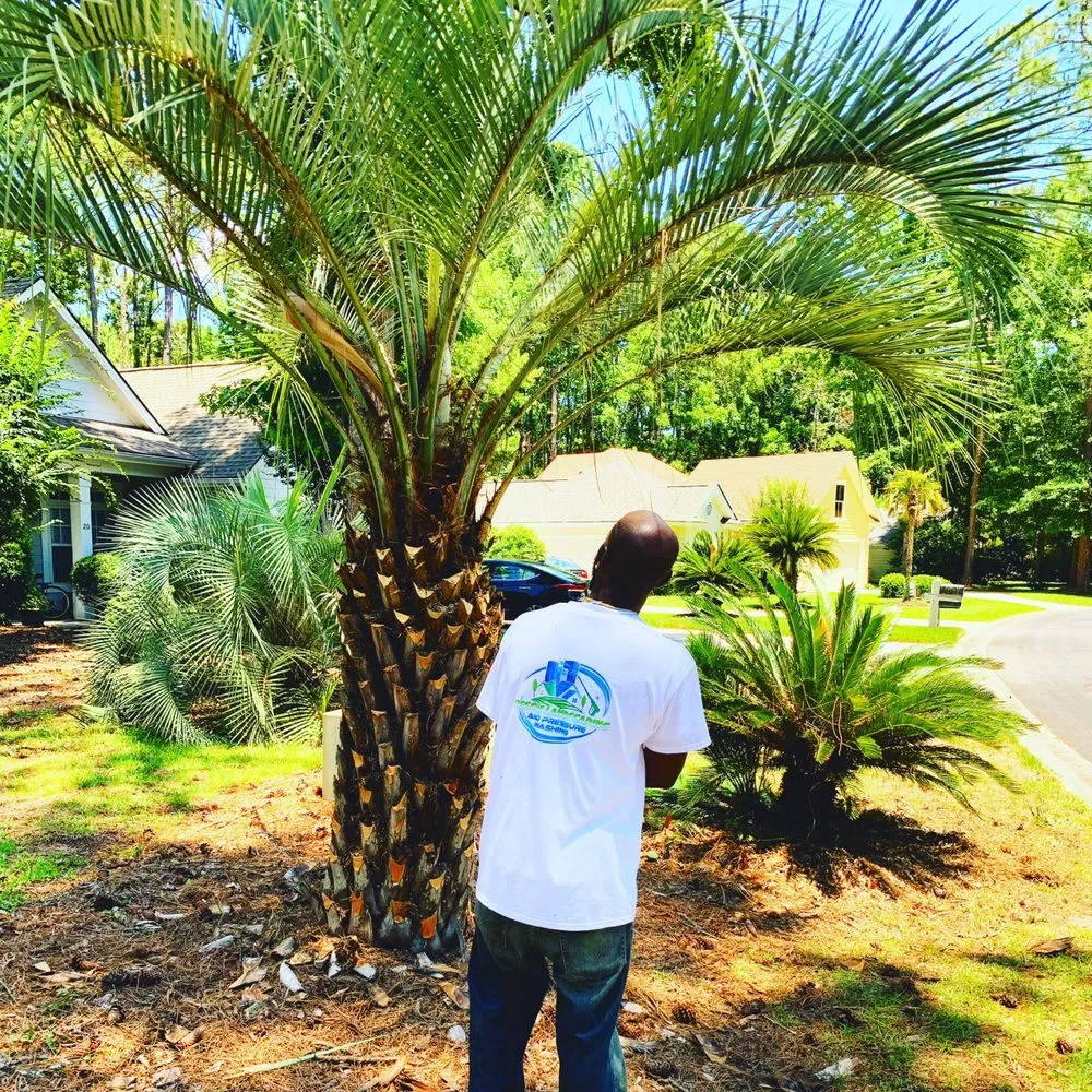 Affordable landscape design experts serving Savannah, GA - Rescue Landscaping