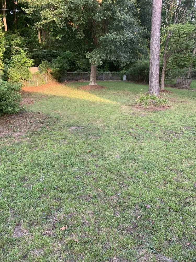 Professional landscaping services for residential properties in Savannah, GA by Rescue Landscaping