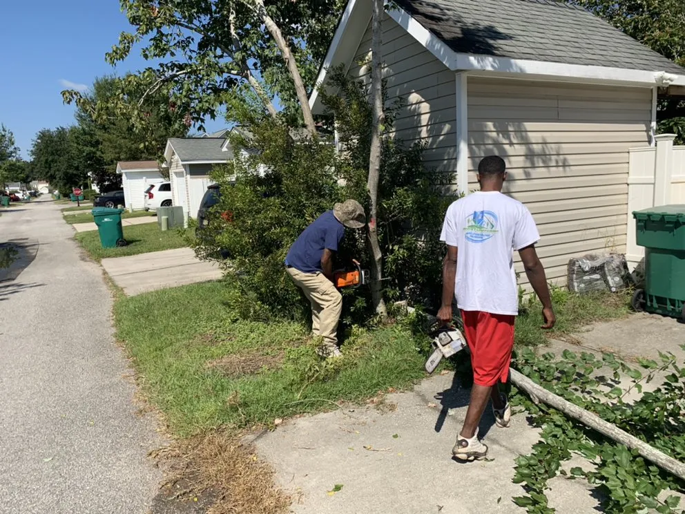 Trusted landscape installation for year-round maintenance in Savannah, GA by Rescue Landscaping
