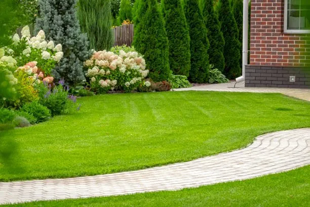 Affordable yard maintenance experts serving Savannah, GA - Rescue Landscaping