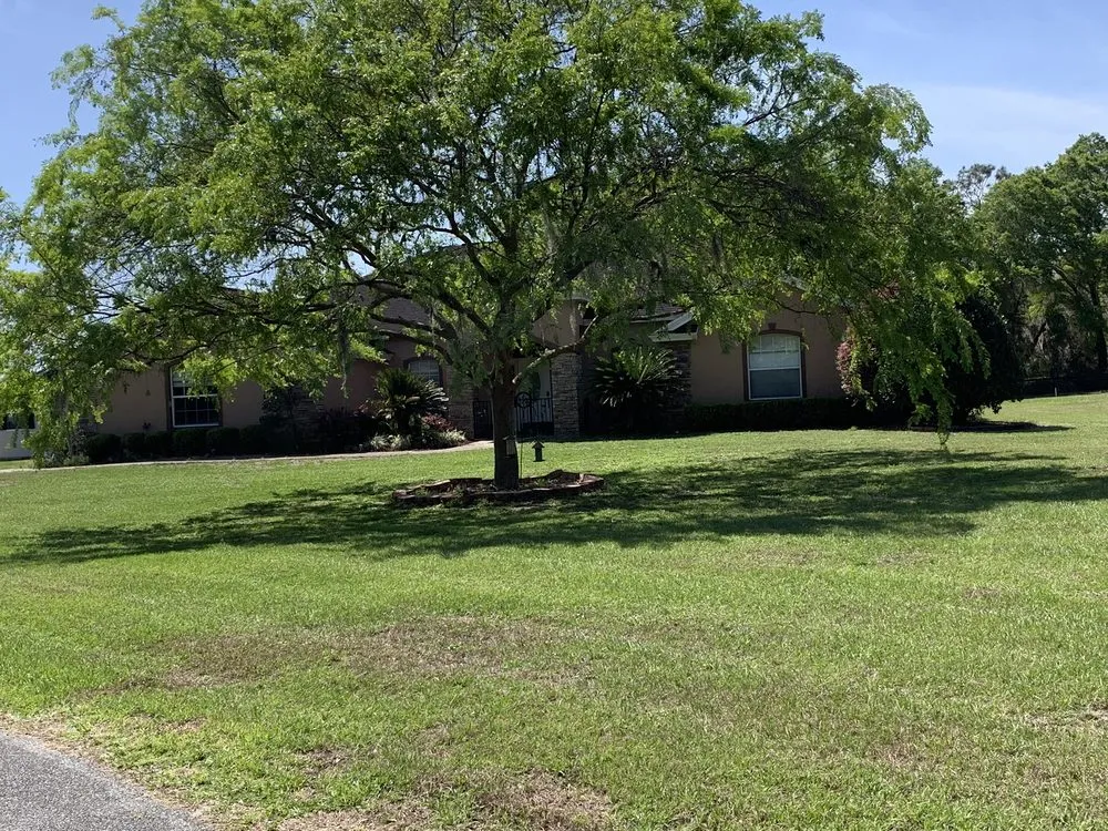 Top-rated outdoor landscaping in Citra, FL by Rescue Lawn Care