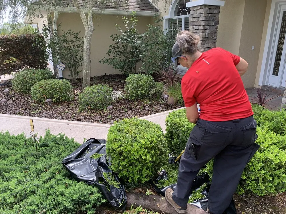 Expert yard cleanup service in Citra, FL - Rescue Lawn Care