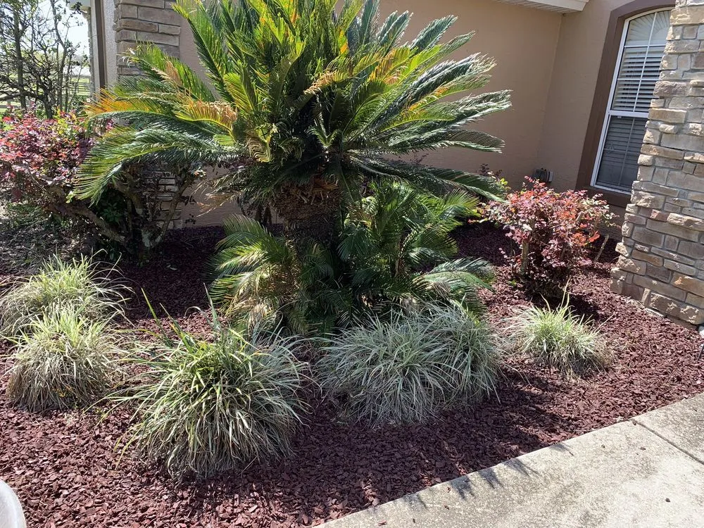 Expert landscape design in Citra, FL - Rescue Lawn Care