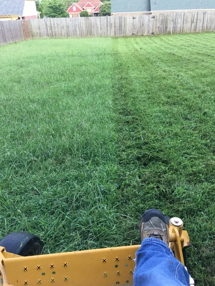 Custom landscaping services experts serving Horn Lake, MS - Rescue Lawn Care