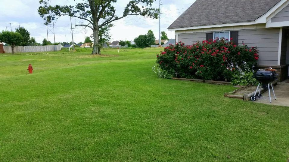Reliable lawn care service for beautiful yards across Horn Lake, MS - Rescue Lawn Care