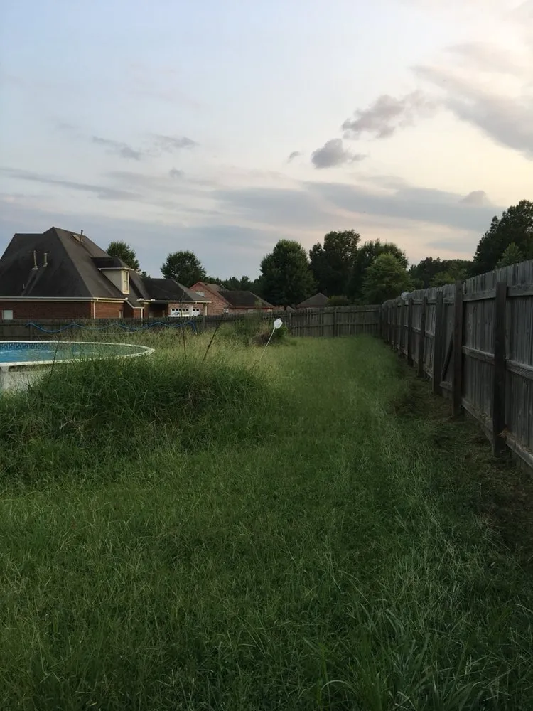 Professional lawn care service for residential properties across Horn Lake, MS - Rescue Lawn Care