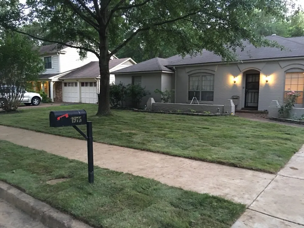 Local yard cleanup service experts serving Horn Lake, MS - Rescue Lawn Care