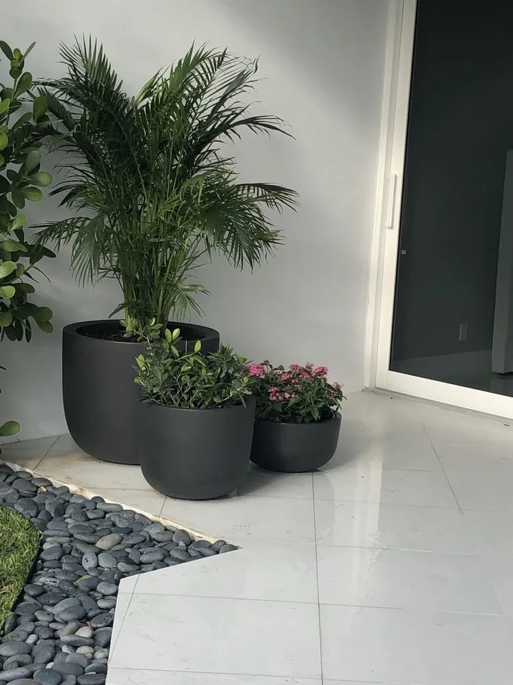 Expert lawn mowing service with custom design in West Palm Beach, FL by Rescue Lawn Service