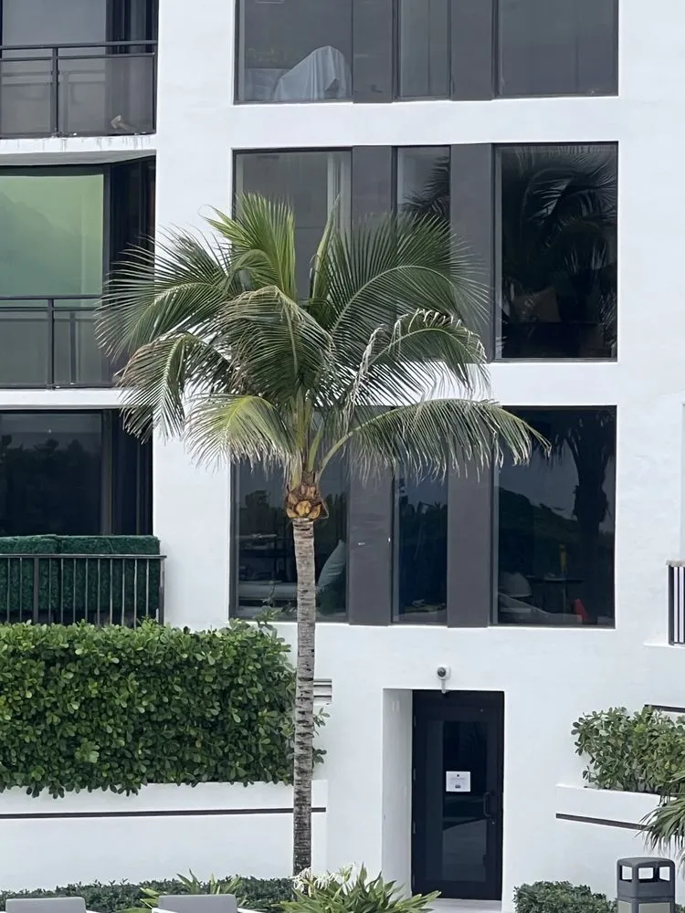 Affordable landscaping services experts serving West Palm Beach, FL - Rescue Lawn Service