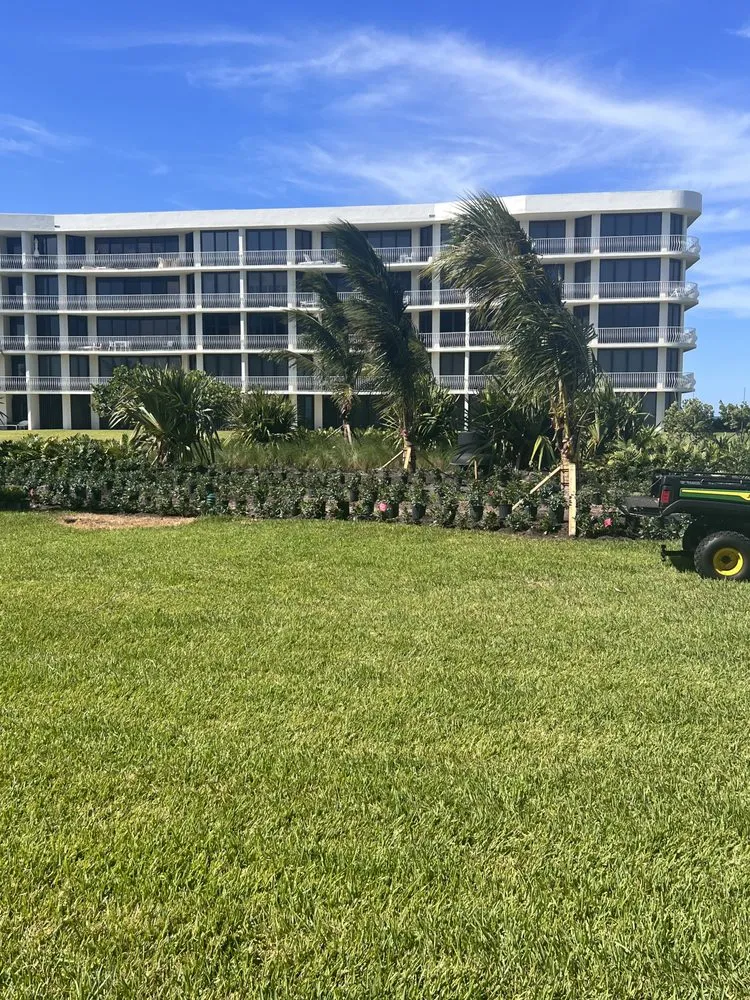 Trusted yard maintenance for residential properties in West Palm Beach, FL by Rescue Lawn Service
