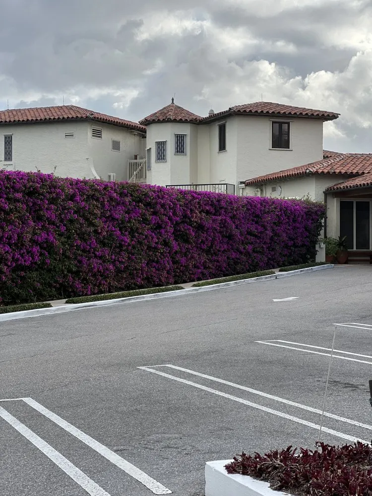 Reliable residential landscaping in West Palm Beach, FL by Rescue Lawn Service