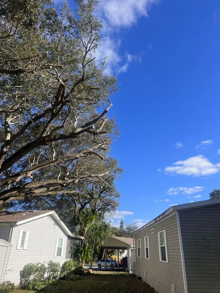 Custom landscape installation in West Palm Beach, FL - Rescue Lawn Service