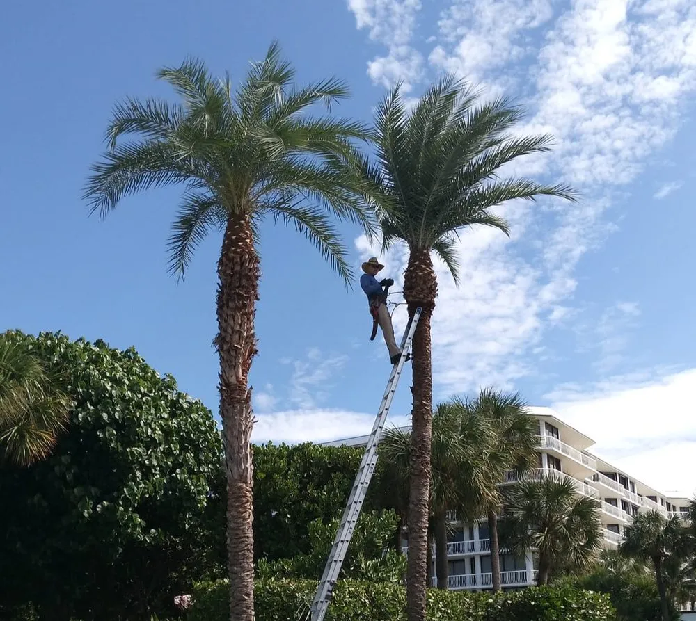 Professional yard cleanup service in West Palm Beach, FL by Rescue Lawn Service