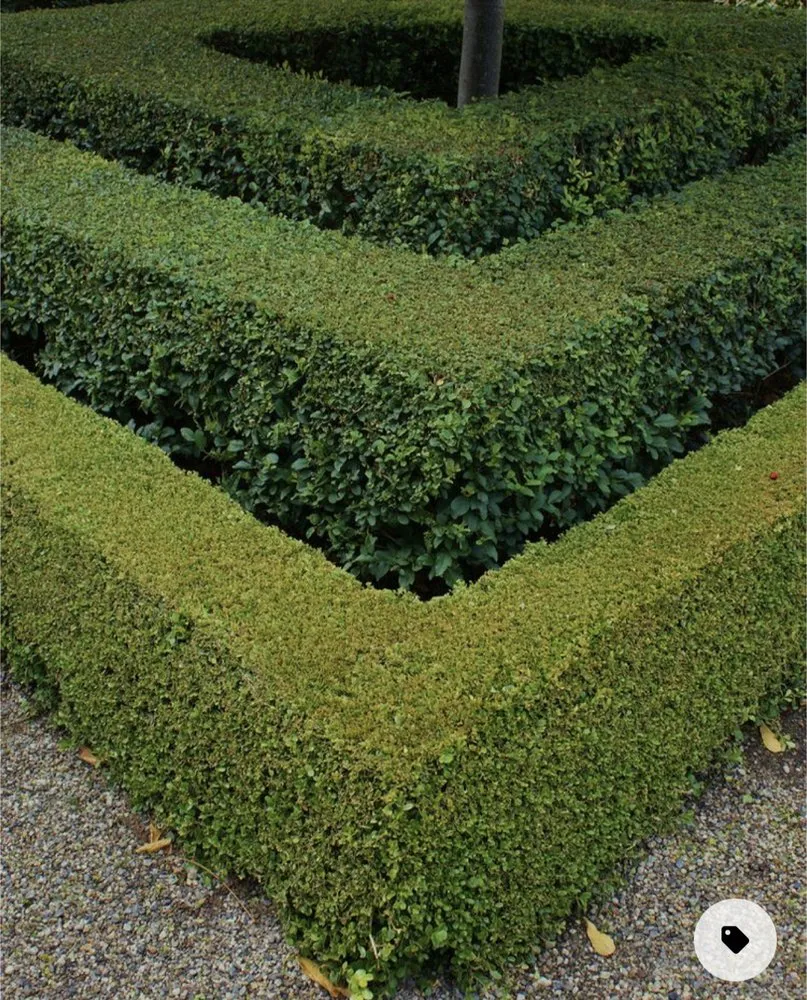 Professional landscape installation near you across West Palm Beach, FL - Rescue Lawn Service