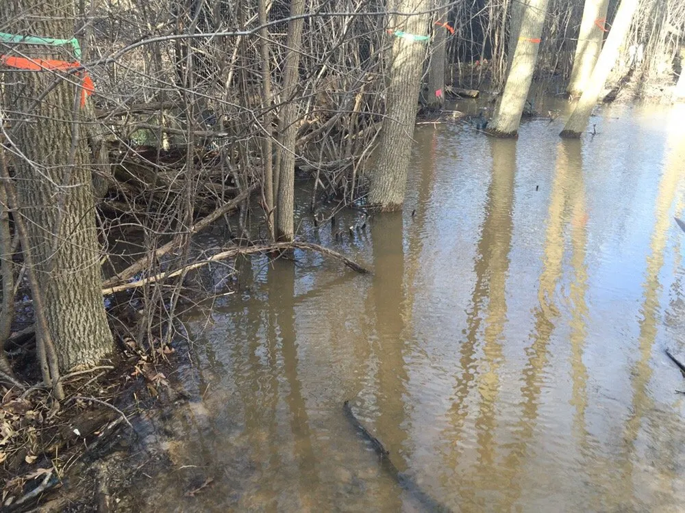 Local garden landscaping experts serving Greendale, WI - Rescue My Landscape