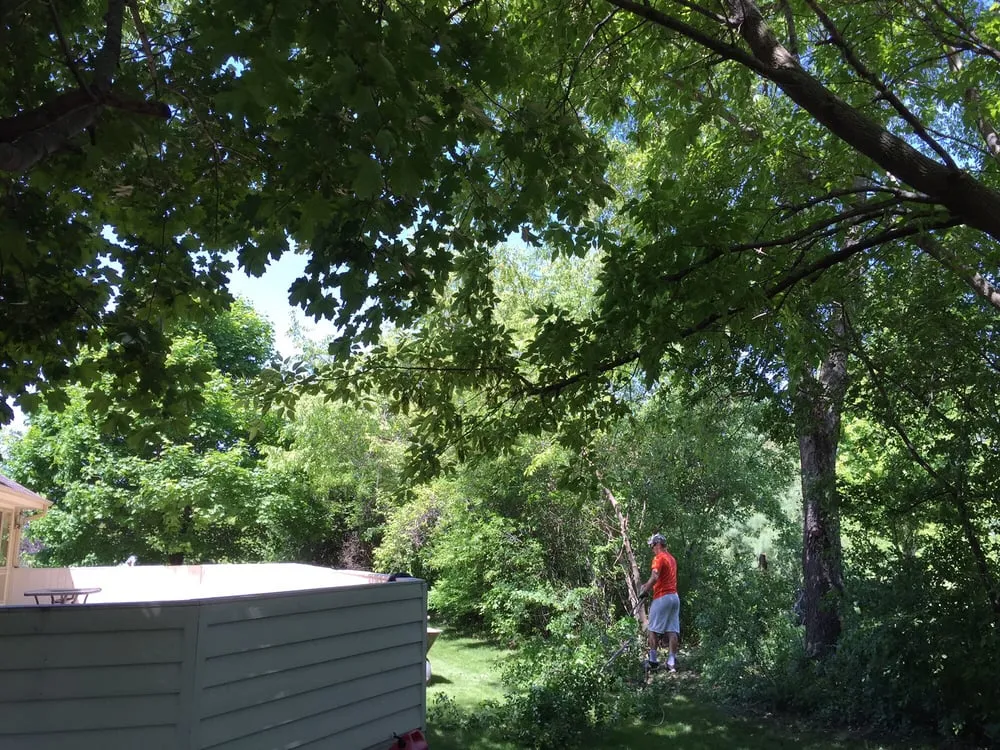 Affordable landscape installation in Greendale, WI - Rescue My Landscape