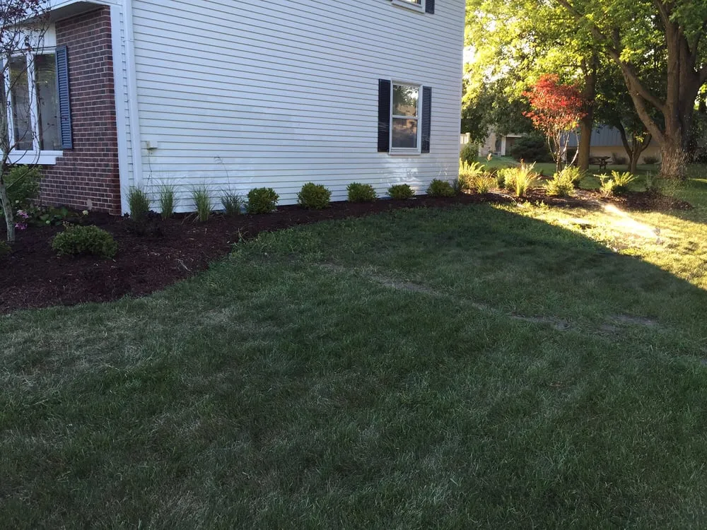 Expert yard maintenance in Greendale, WI by Rescue My Landscape