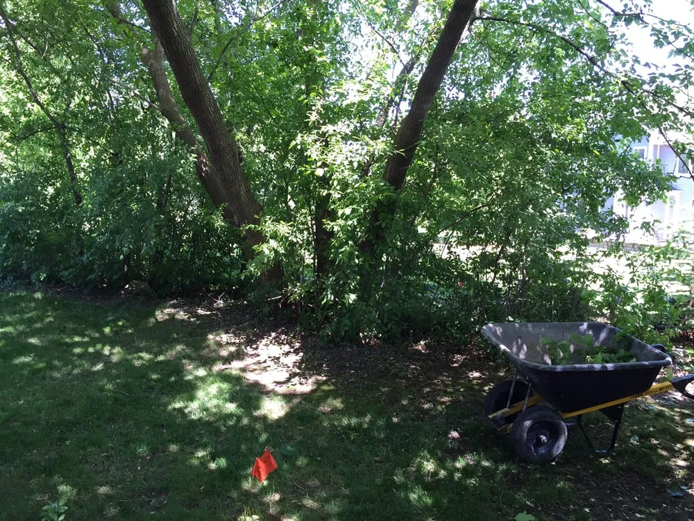 Top-rated landscape design experts serving Greendale, WI - Rescue My Landscape