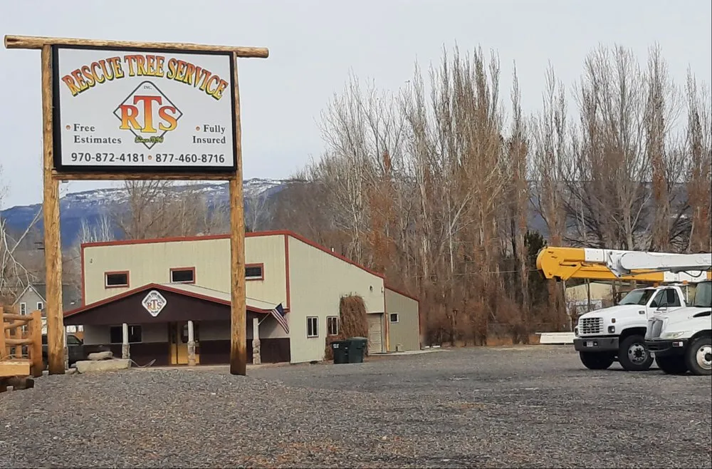 Professional yard cleanup service near you in Delta, CO by Rescue Tree Service