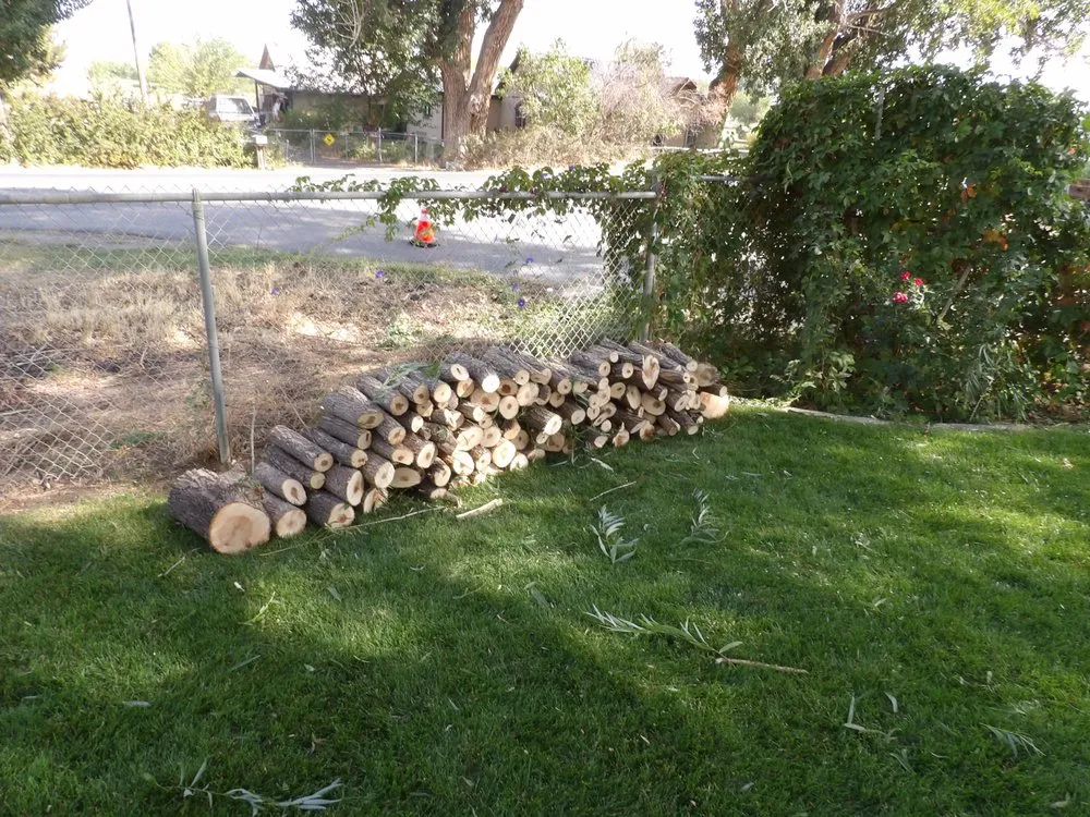 Top-rated lawn care service in Delta, CO by Rescue Tree Service