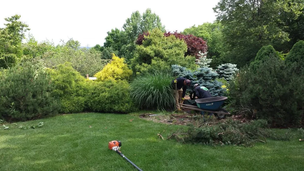 Affordable lawn mowing service for year-round maintenance across Bernardsville, NJ - Research & Design Landscape