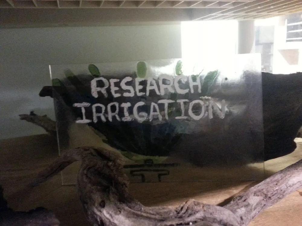 Professional landscaping services experts serving Medley, FL - Research Irrigation