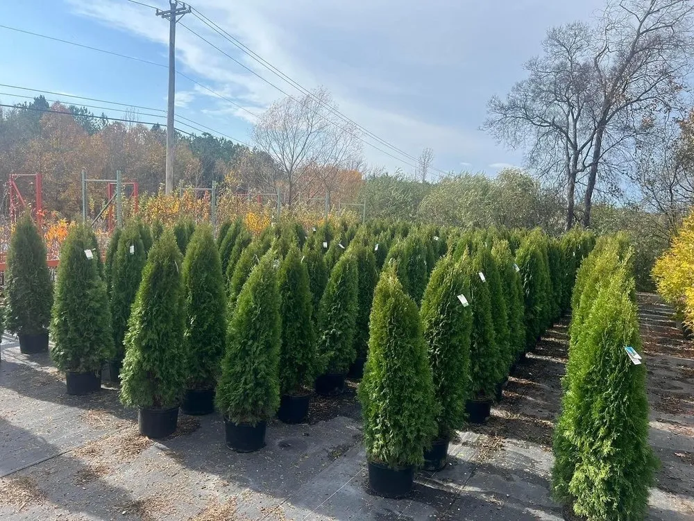 Affordable residential landscaping experts serving Madison, AL - Reseda Nursery & Stone Yard