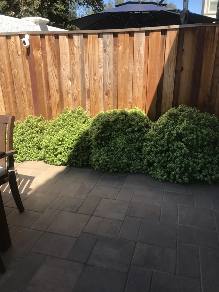 Affordable landscape installation in San Martin, CA by Resendiz Gardening and Landscape Services