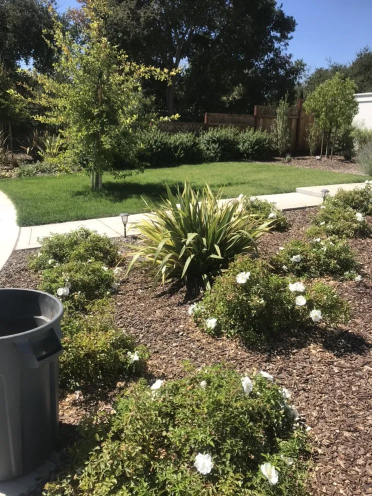 Top-rated residential landscaping in San Martin, CA - Resendiz Gardening and Landscape Services