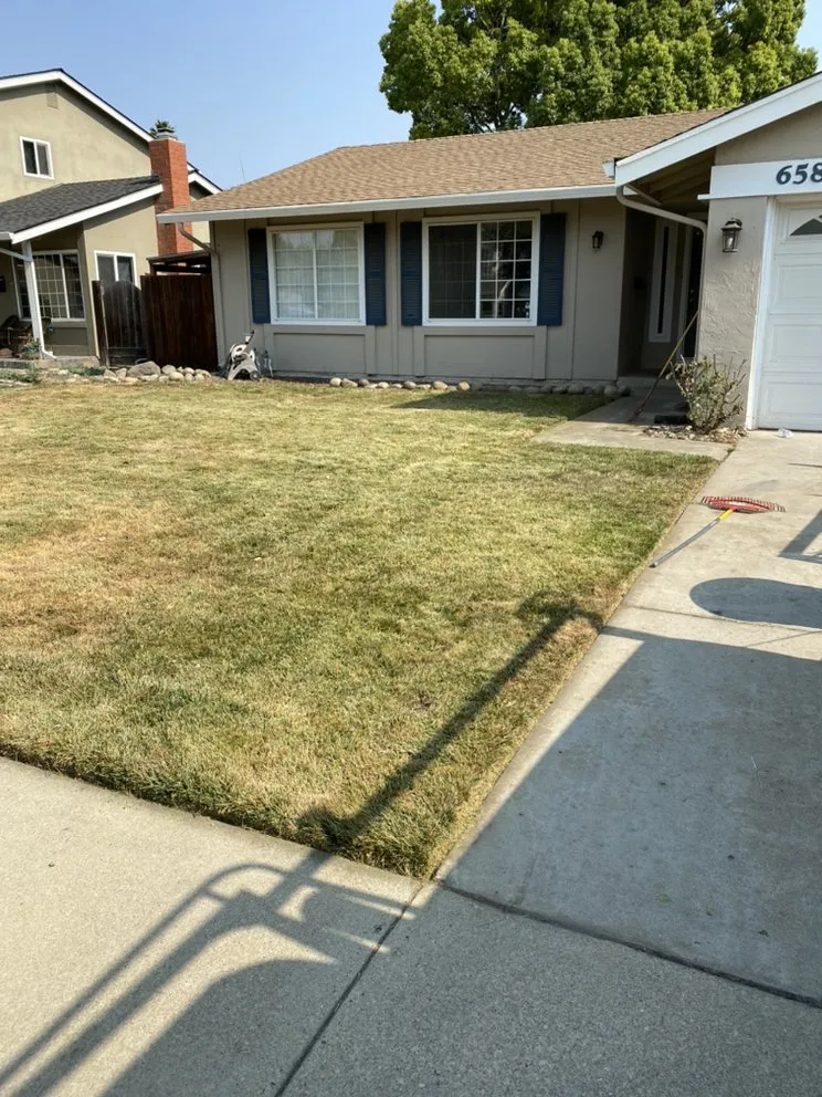 Reliable garden landscaping with custom design in San Martin, CA by Resendiz Gardening and Landscape Services