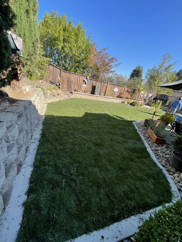 Top-rated yard maintenance with custom design across San Martin, CA - Resendiz Gardening and Landscape Services