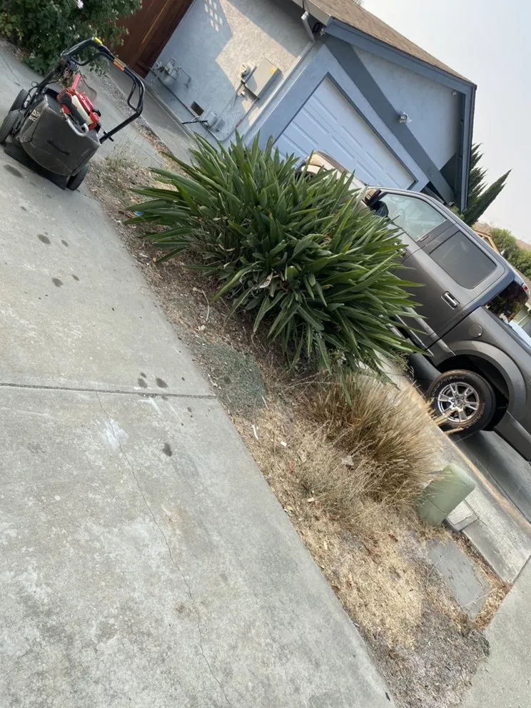 Trusted outdoor landscaping experts serving San Martin, CA - Resendiz Gardening and Landscape Services