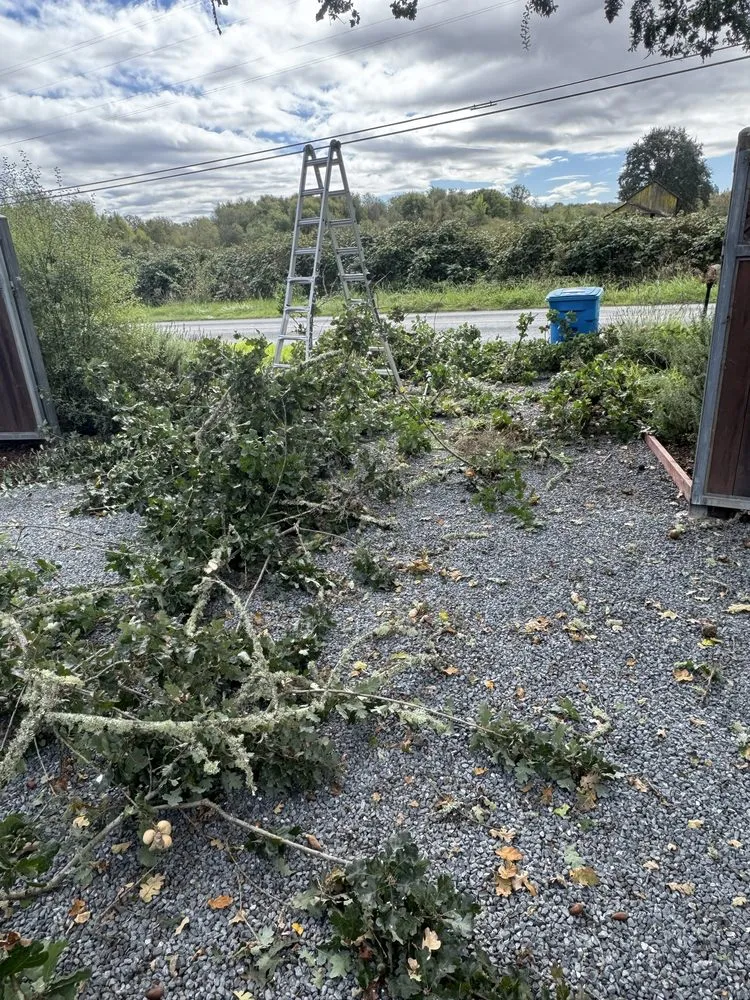 Custom garden landscaping for outdoor upgrades across Santa Rosa, CA - Resendiz Landscaping