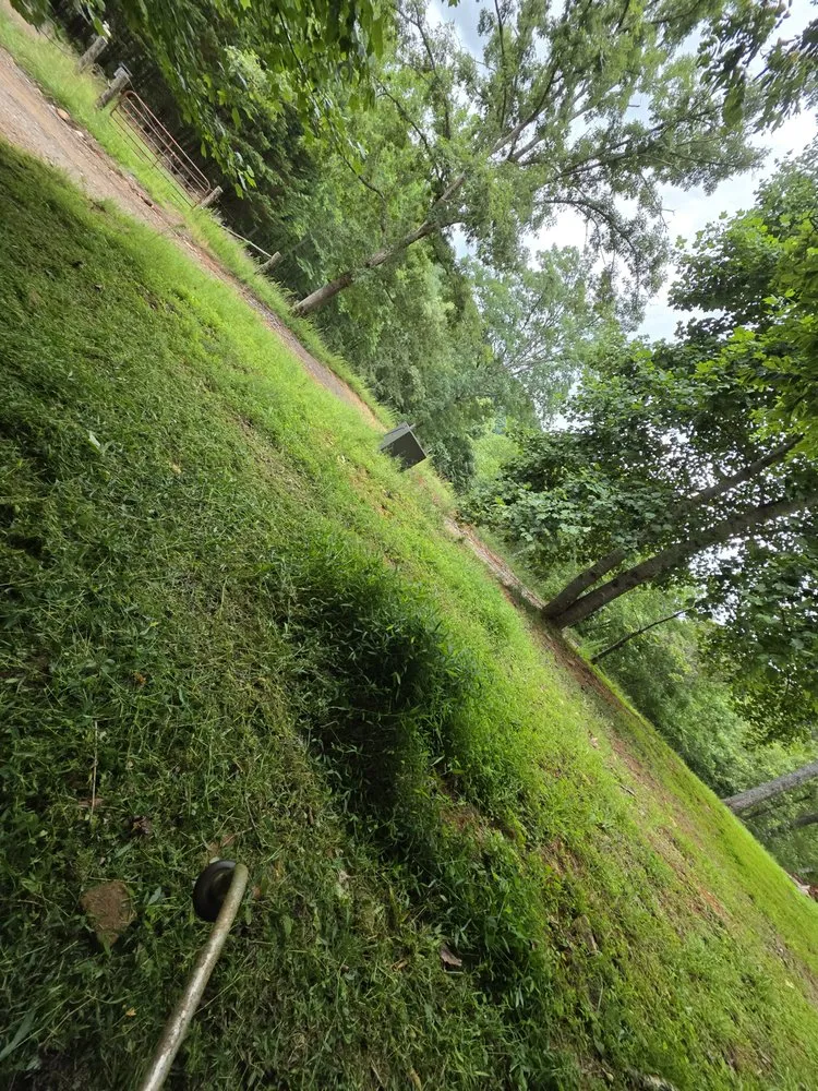 Custom lawn mowing service in Blairsville, GA by Resendiz Lawn Service