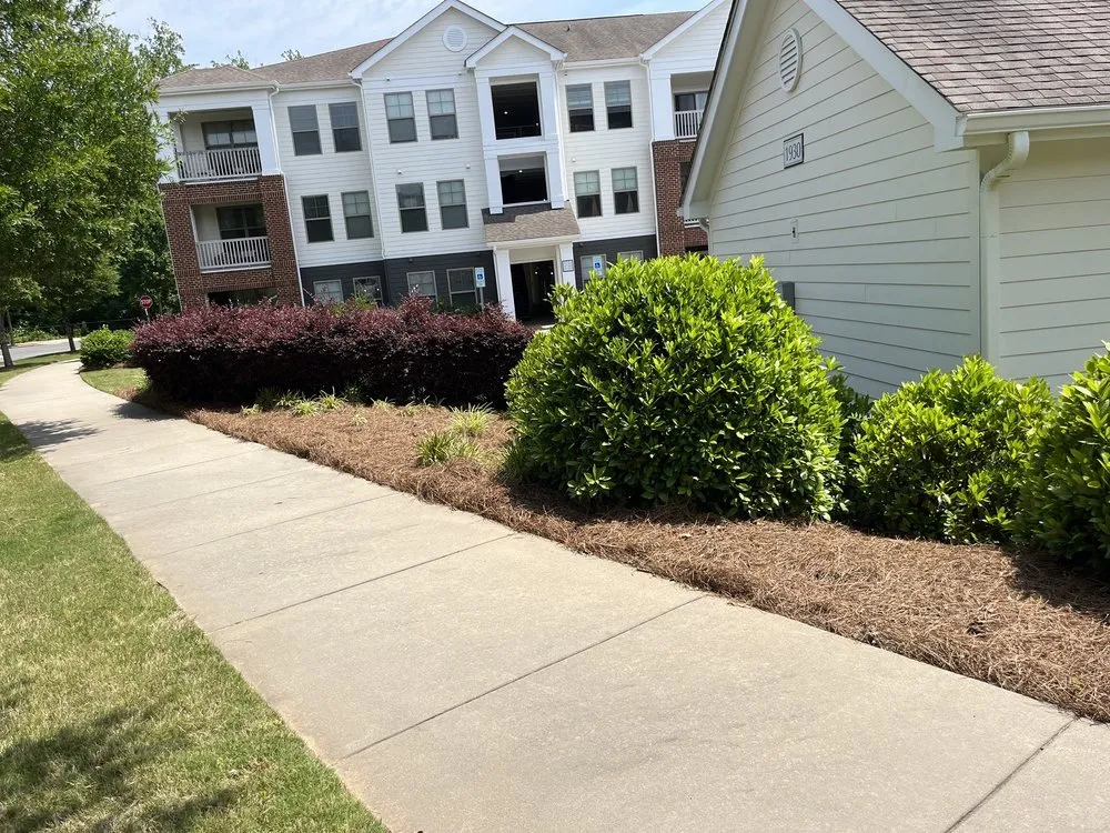 Reliable lawn mowing service in Pageland, SC - Resendiz Pine Needles