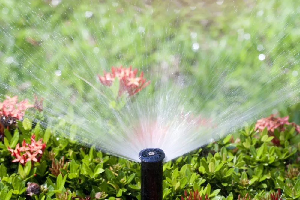 Trusted outdoor landscaping in Leander, TX by Reserva Irrigation