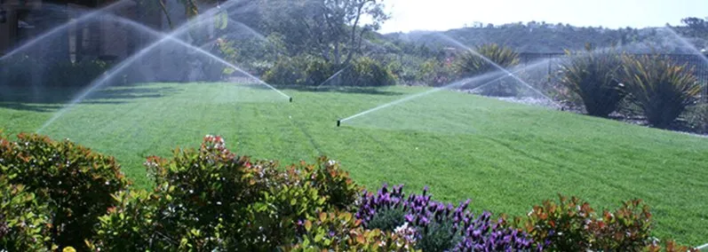 Professional landscaping services in Leander, TX by Reserva Irrigation