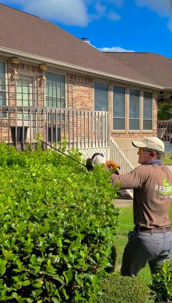 Professional garden landscaping for residential properties across Mabank, TX - Reservoir Landscape Solutions