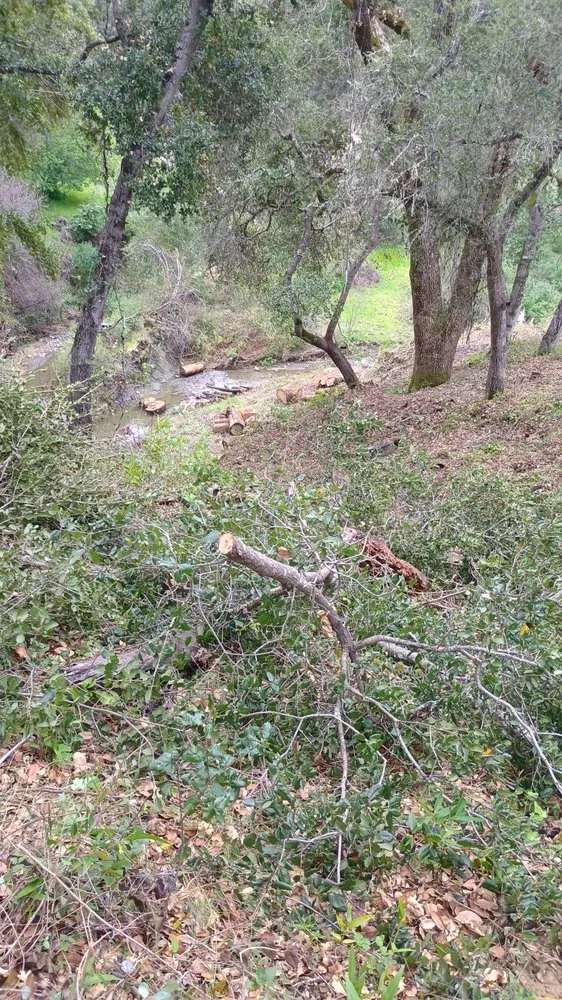 Top-rated residential landscaping in San Jose, CA by Residential Landscaping and Tree Service