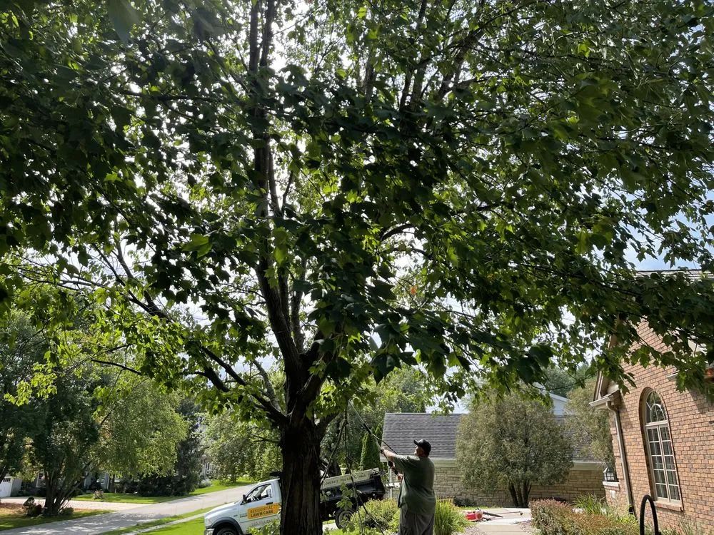 Reliable landscaping services experts serving Dubuque, IA - Residential Lawn Care