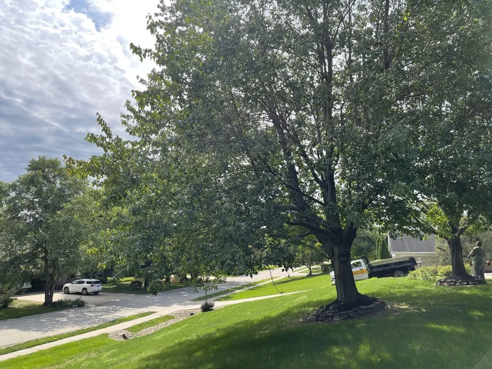 Trusted lawn mowing service in Dubuque, IA - Residential Lawn Care