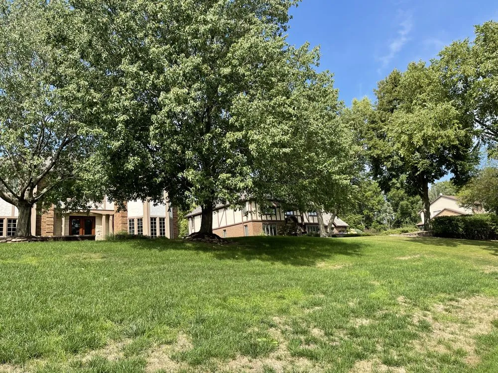 Expert yard maintenance in Dubuque, IA - Residential Lawn Care