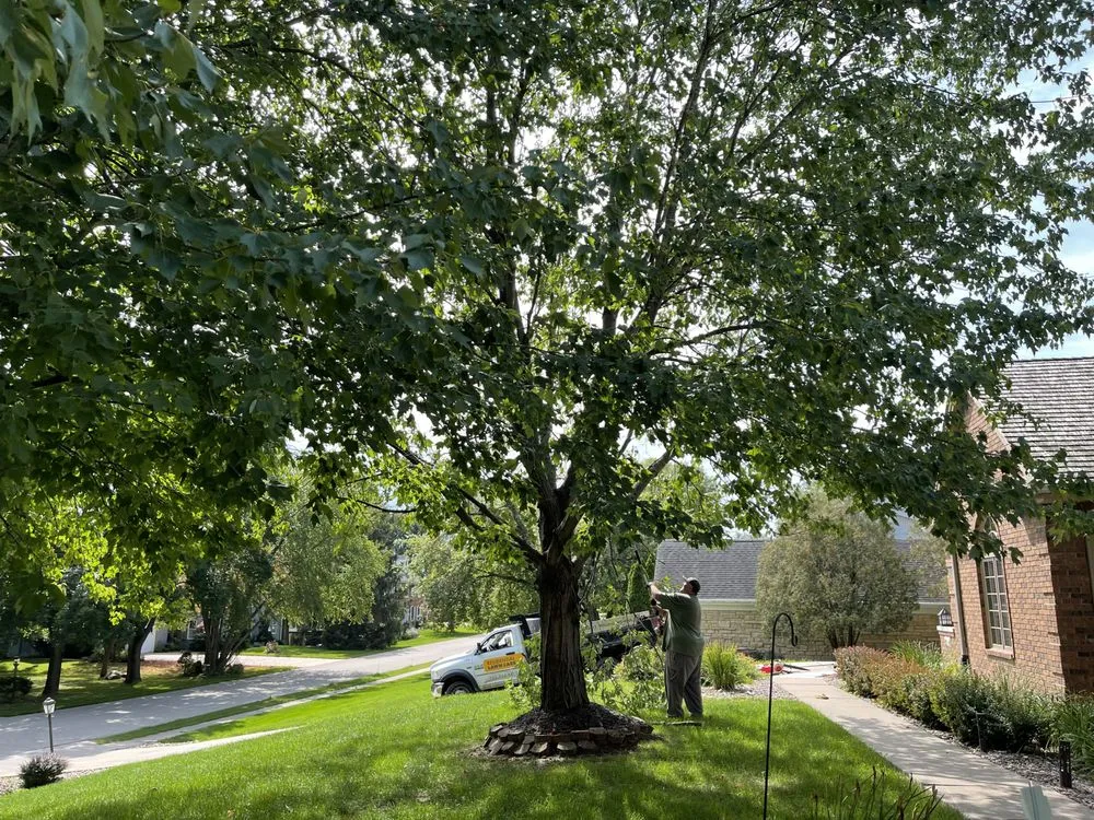 Local outdoor landscaping in Dubuque, IA by Residential Lawn Care