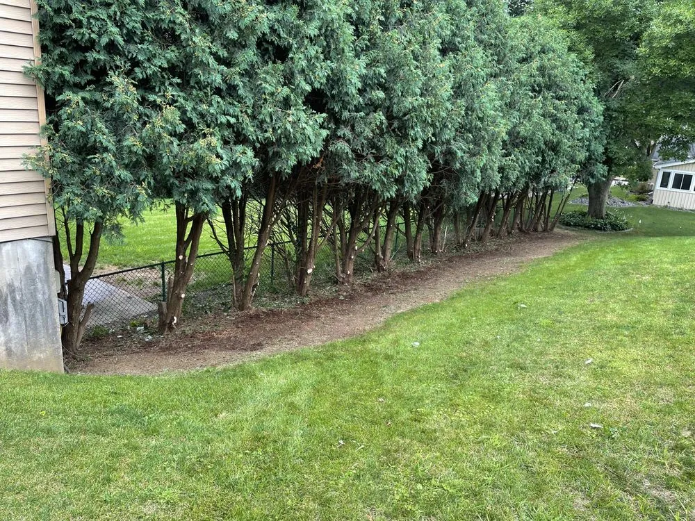 Reliable yard maintenance experts serving Dubuque, IA - Residential Lawn Care