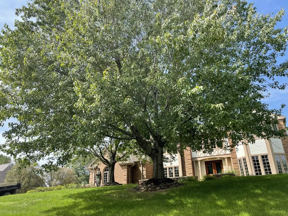 Affordable garden landscaping in Dubuque, IA by Residential Lawn Care