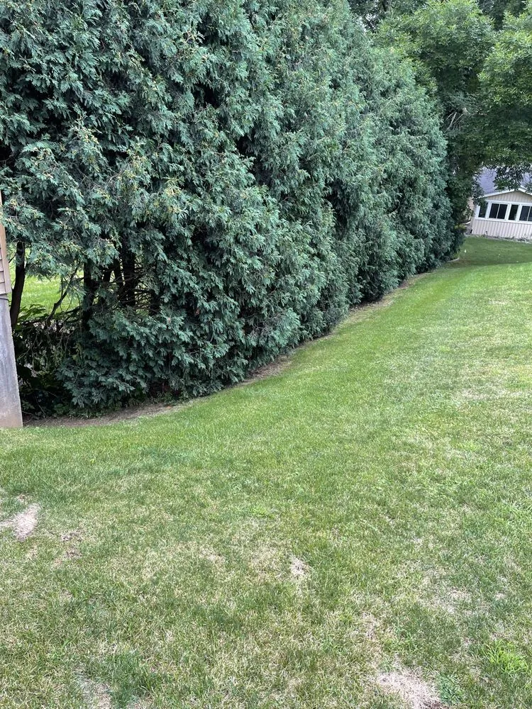 Expert yard cleanup service near you in Dubuque, IA by Residential Lawn Care