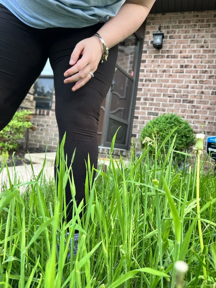 Trusted yard maintenance in Abingdon, MD - Residential Lawn Company