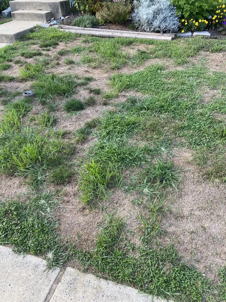 Top-rated yard maintenance experts serving Abingdon, MD - Residential Lawn Company