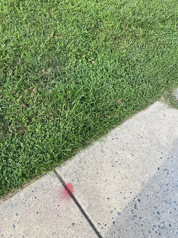 Professional lawn care service in Abingdon, MD - Residential Lawn Company