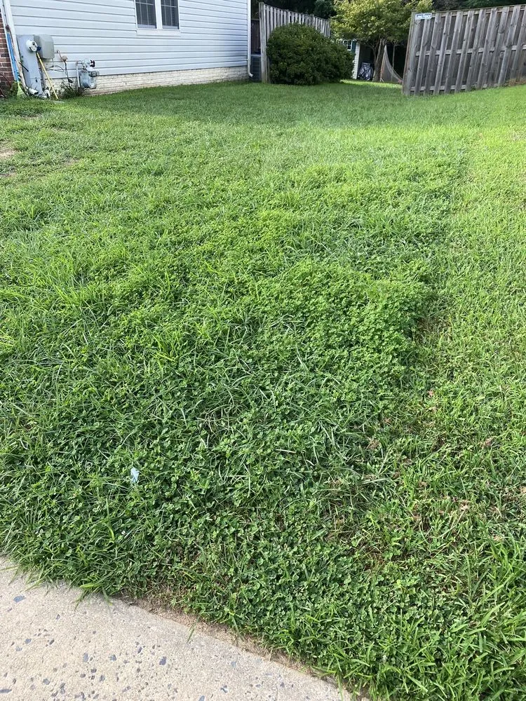 Trusted residential landscaping in Abingdon, MD - Residential Lawn Company